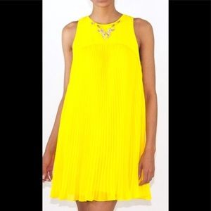 Ted Baker Arleen Pleated Dress